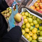 Bazar rolnicy zakupy targ (6)