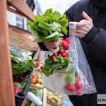 Bazar rolnicy zakupy targ (8)