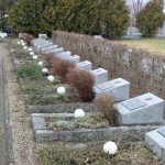 kwiaty, 82. rocznica zsyłki na sybir (57)