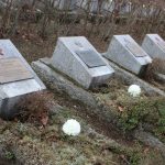 kwiaty, 82. rocznica zsyłki na sybir (63)