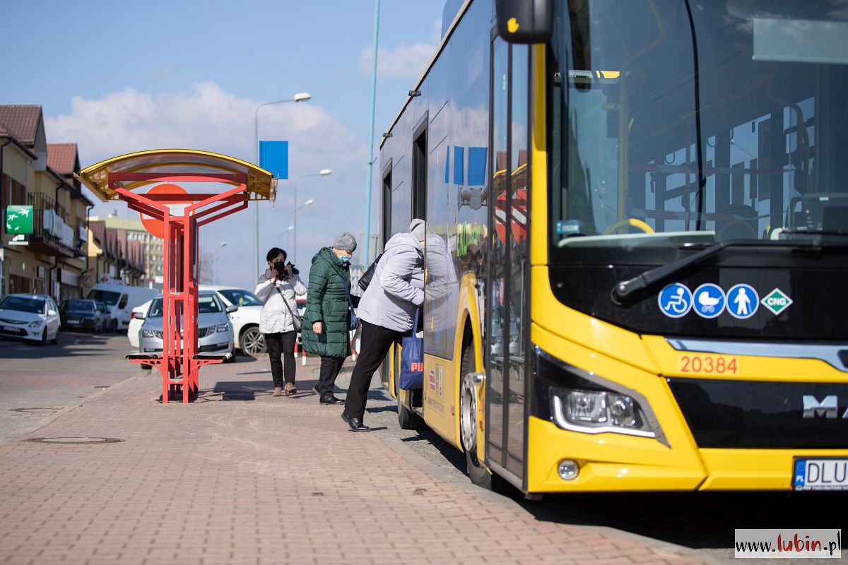 Brukselski uniwersytet zainteresował się lubińską komunikacją