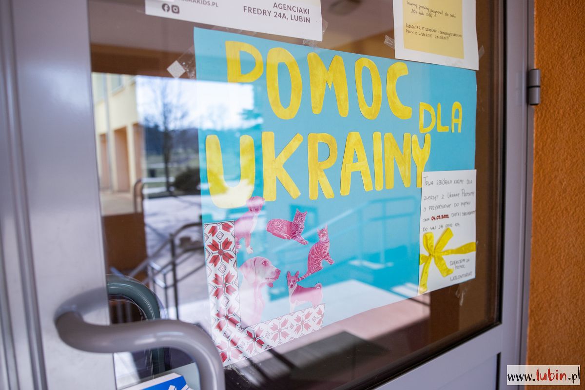 Weryfikuj zbiórki na pomoc ofiarom wojny w Ukrainie