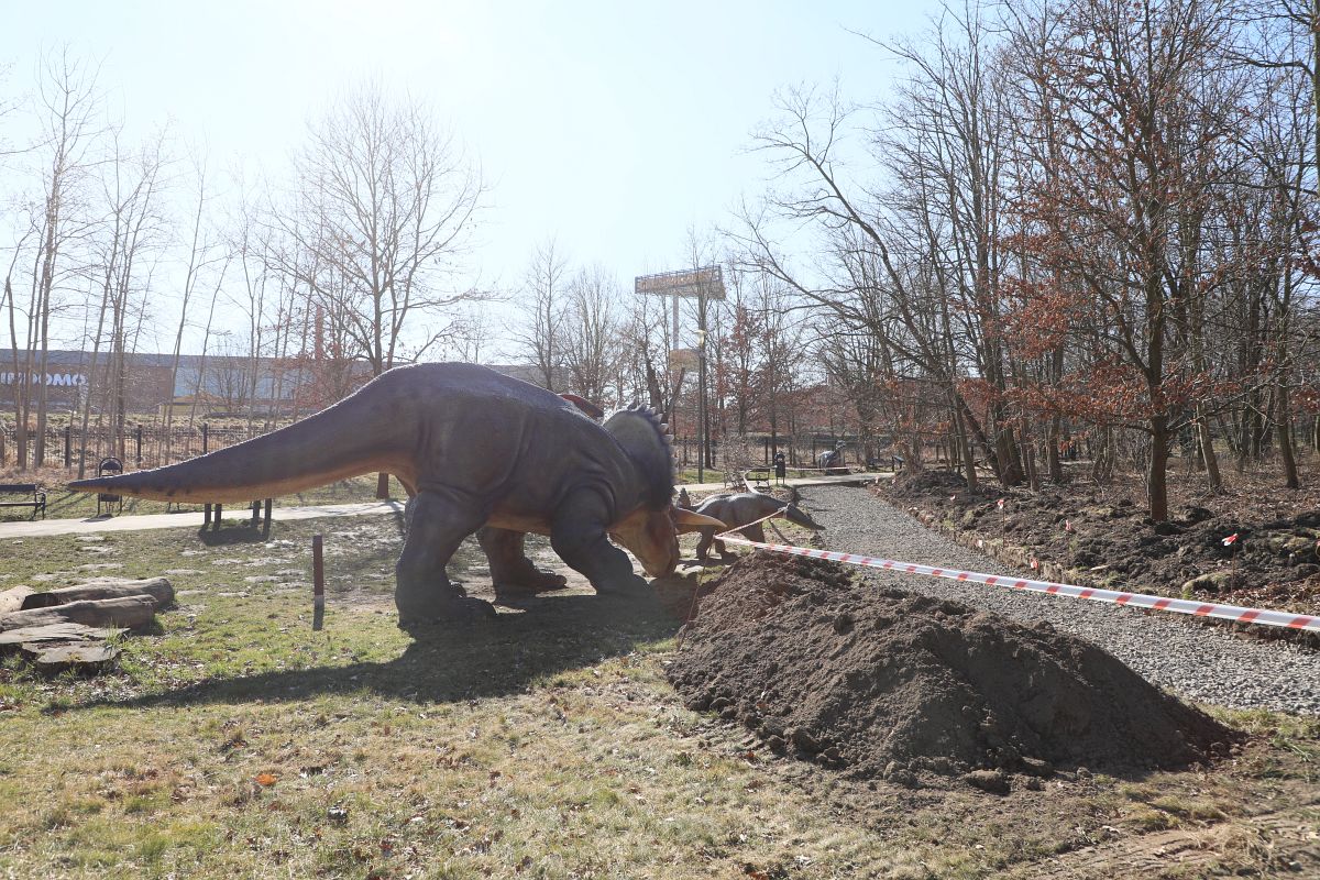 W zoo powstaje nowa ścieżka