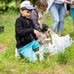 światowy dzień pszczół w zoo, 21.05 (20)