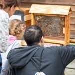 światowy dzień pszczół w zoo, 21.05 (6)