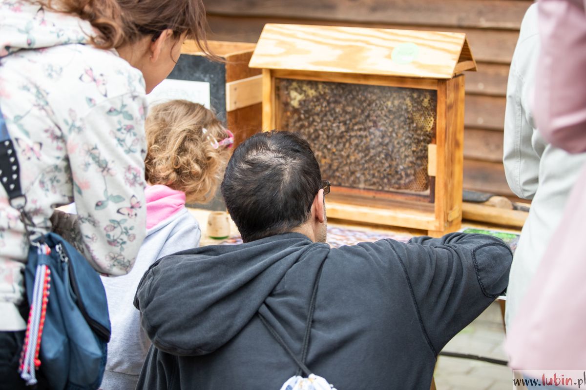 Bez nich nie przeżyjemy – Światowy Dzień Pszczół w zoo