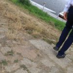 niski stan Odry w Ścinawie, 27.06.2022 r (24)