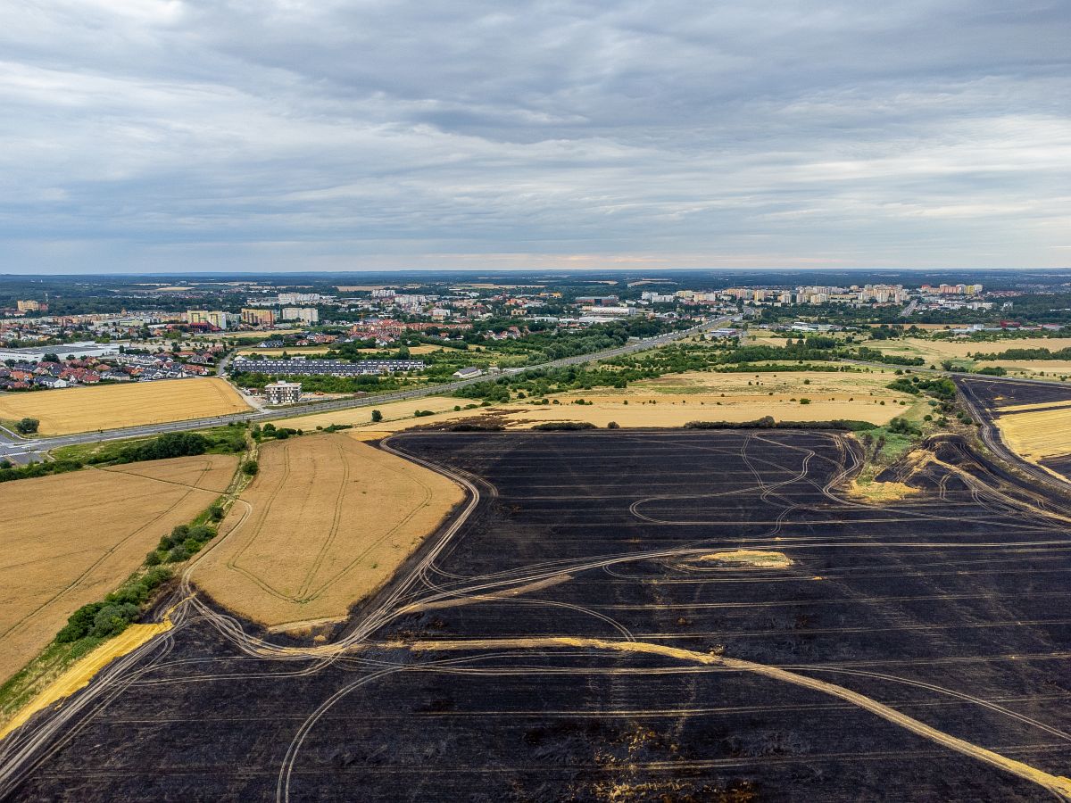 70 hektarów poszło z dymem, właściciel oszacował straty