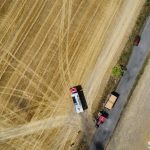 pożar, pole ze zbożem, 2022 (4)