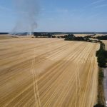 pożar, pole ze zbożem, 2022 (5)