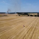 pożar, pole ze zbożem, 2022 (6)