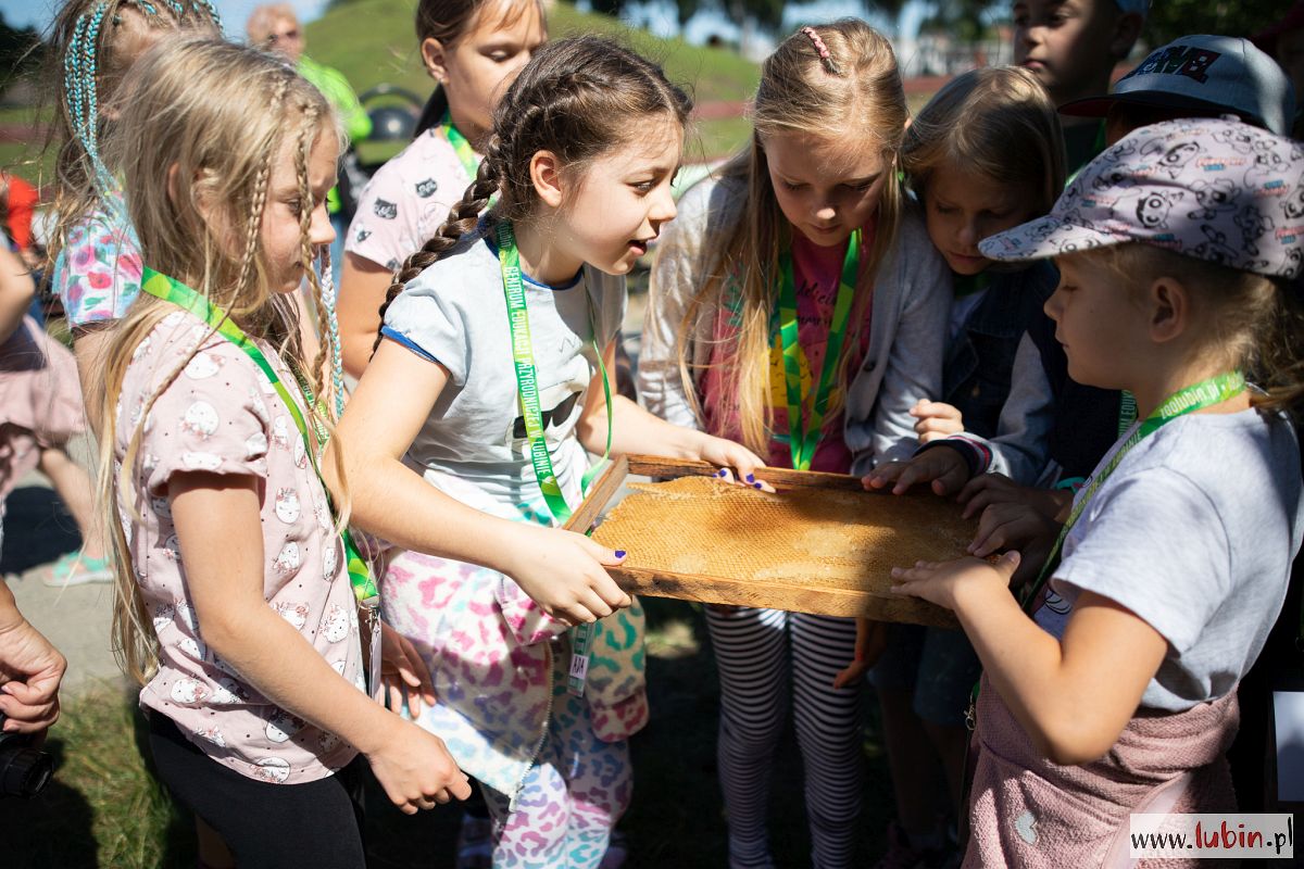 Wakacje w Lubinie. Zoo i biblioteka ruszyły z zapisami na zajęcia