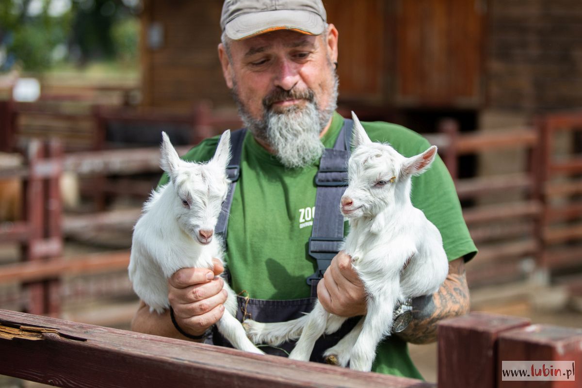 Liczą na rekord – zoo podsumowuje ostatnich 12 miesięcy