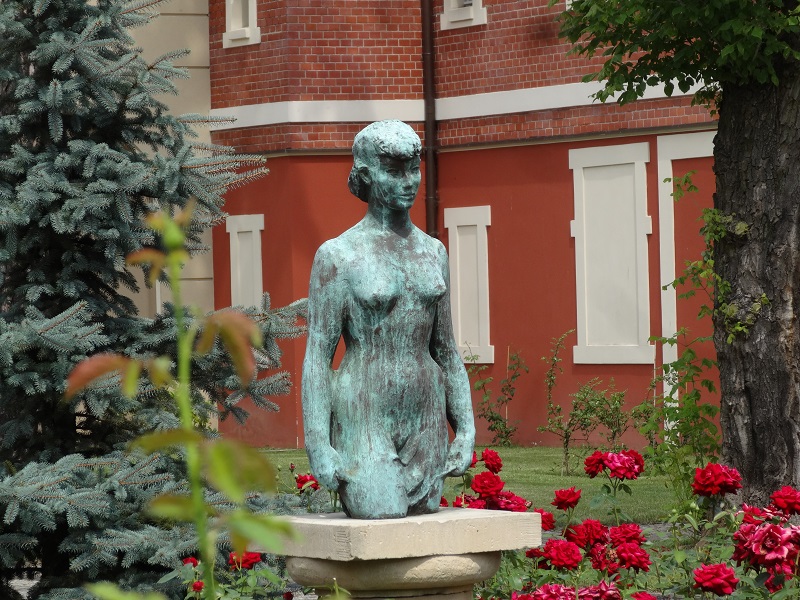 Szukają świadków kradzieży