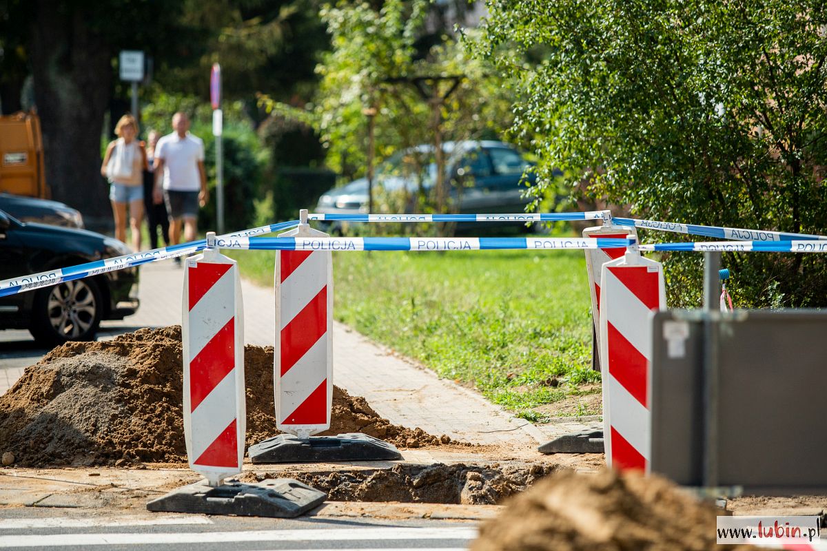 Kości znalezione w centrum miasta