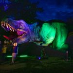 Noc Dinozaurów 2022 (1)