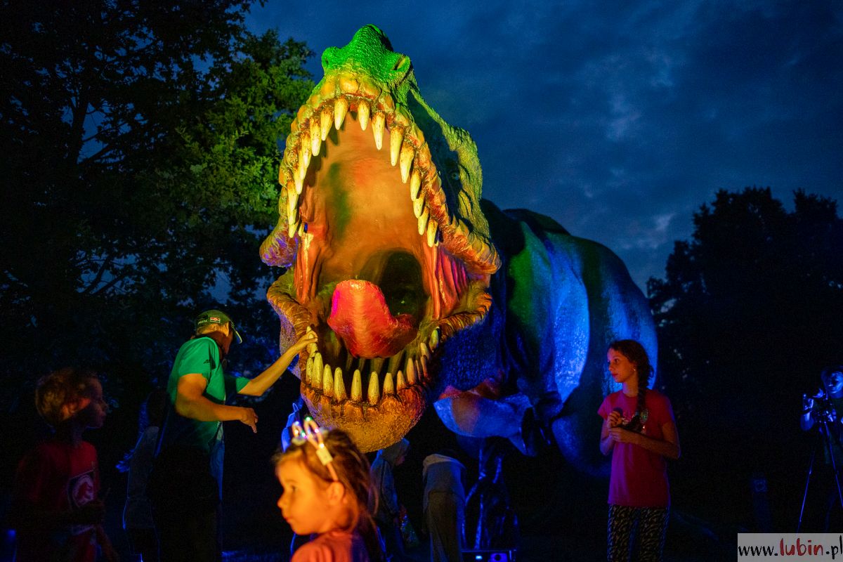 Nocne tłumy w zoo. Dziś i jutro ciąg dalszy atrakcji