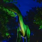 Noc Dinozaurów 2022 (11)