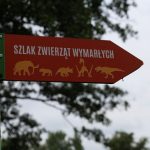 Noc Dinozaurów 2022, 13.08.2022 r., zoo lubin (10)