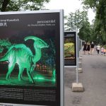 Noc Dinozaurów 2022, 13.08.2022 r., zoo lubin (121)