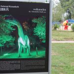 Noc Dinozaurów 2022, 13.08.2022 r., zoo lubin (123)