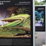 Noc Dinozaurów 2022, 13.08.2022 r., zoo lubin (124)