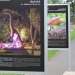 Noc Dinozaurów 2022, 13.08.2022 r., zoo lubin (5)