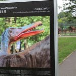 Noc Dinozaurów 2022, 13.08.2022 r., zoo lubin (7)