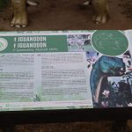 Noc Dinozaurów 2022, 13.08.2022 r., zoo lubin (87)