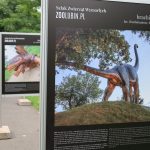 Noc Dinozaurów 2022, 13.08.2022 r., zoo lubin (9)