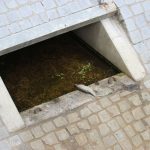 Odra, rtęć, ryby (15)