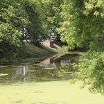 Odra, rtęć, ryby (25)