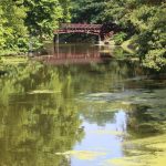 Odra, rtęć, ryby (29)