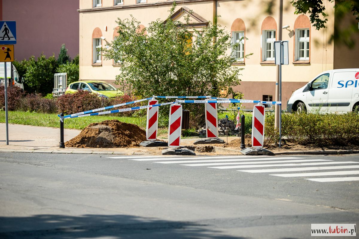 Opinia biegłego wskaże czyje to kości