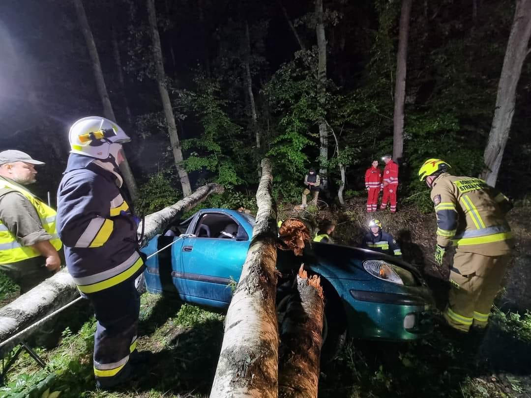 Katastrofa kolejowa i 147 ratowników w akcji