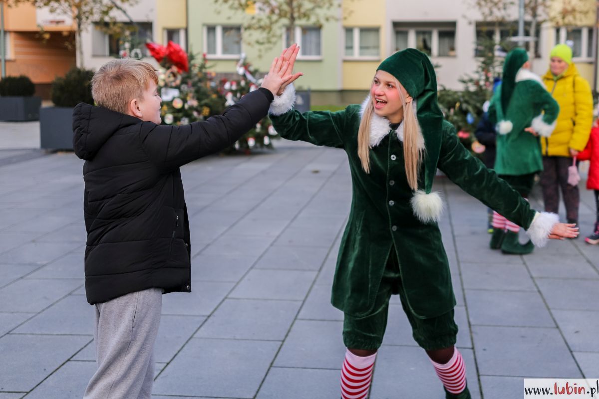 Elfy opanowały lubiński rynek