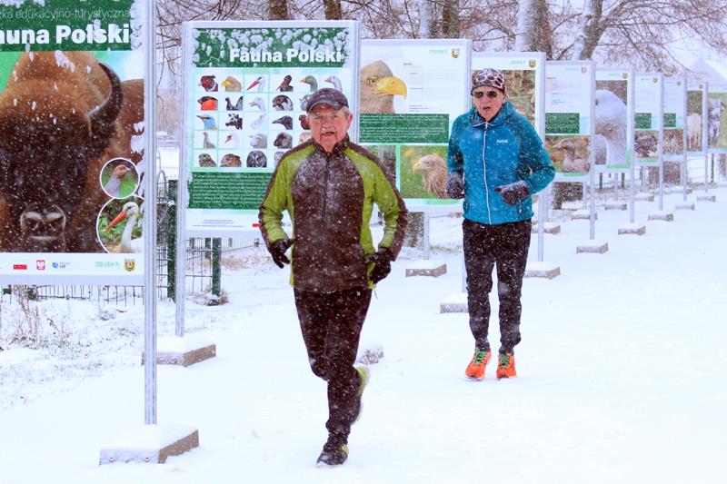 Śnieżny 337 lubiński parkrun