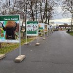 wystawa plenerowa, zoo, ścieżka przyrodnicza (3)