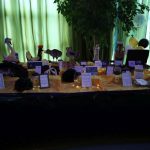 bal karnawałowy w osieku, fundacja brata alberta, 07.02 (19)