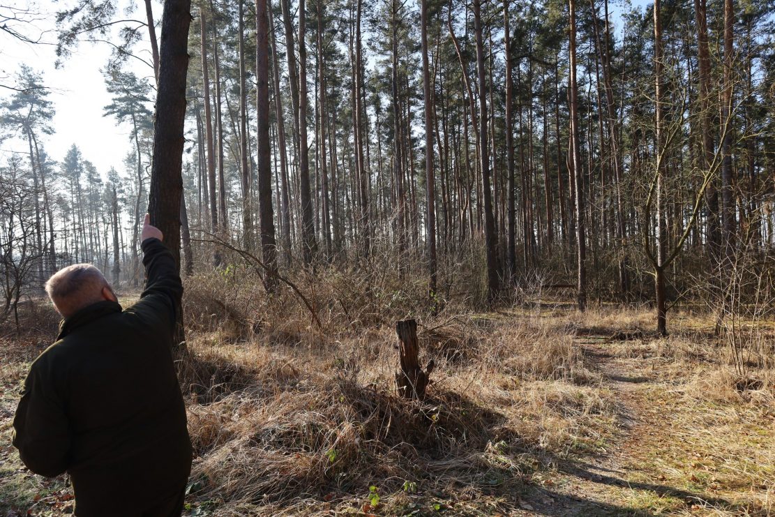 Apelują o to, by nie wchodzić do lasu