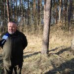 nadleśnictwo, Wende, las, 07.02 (6)