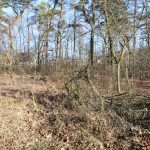 nadleśnictwo, Wende, las, 07.02 (8)