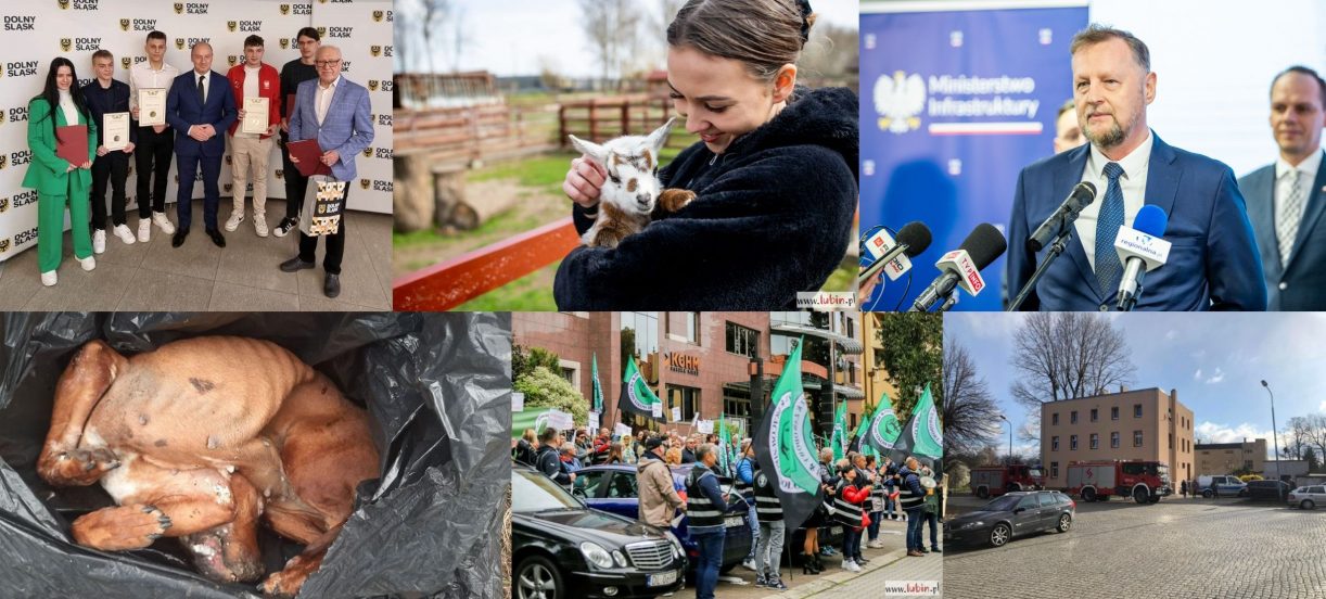 Podsumowanie wydarzeń tygodnia