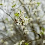 IMG_3956-1024×683