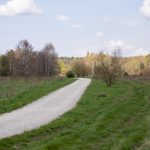 dolina zimnicy (11)