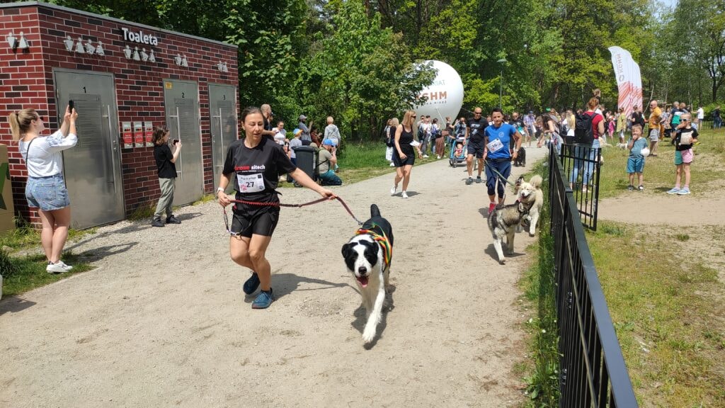 Zwierzęcy piknik w parku Leśnym