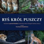 Ryś-plakat
