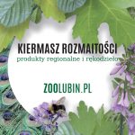 plansza kiermasz 2023