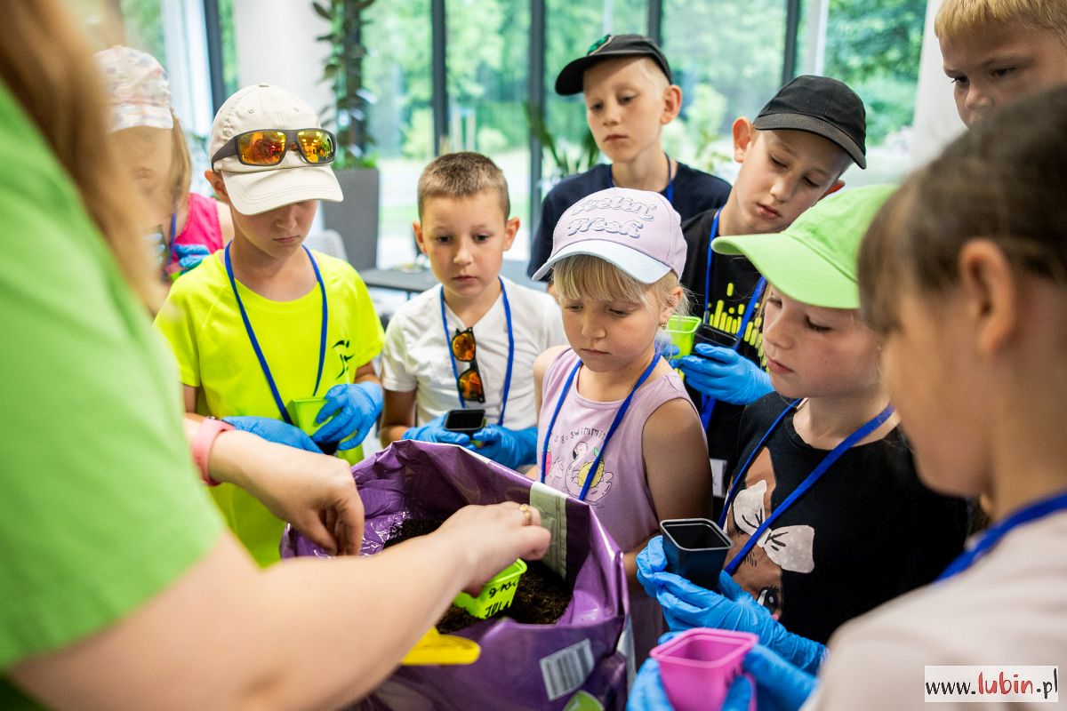 Ruszają zapisy na drugą turę wakacji w zoo