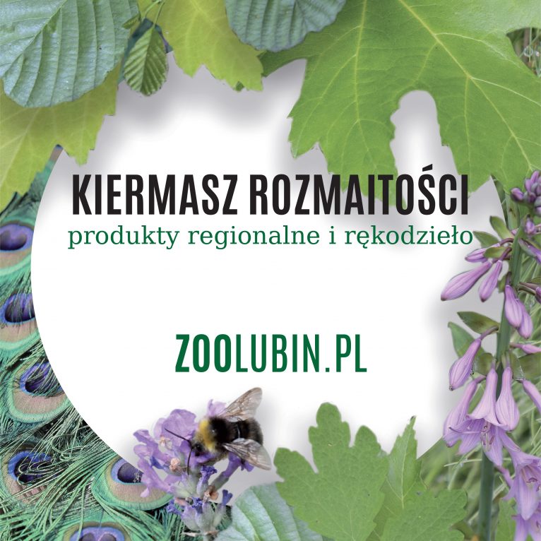 Zoo zaprasza na kiermasz